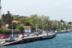 Picture_036